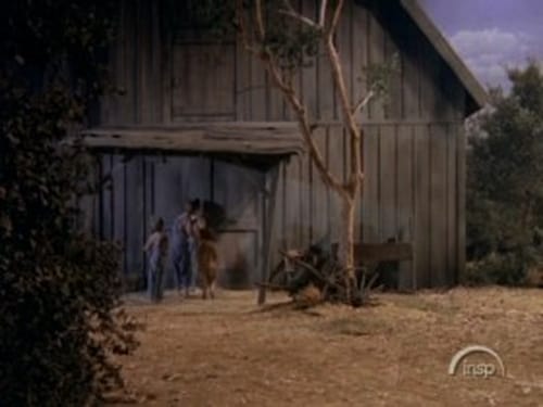 The Waltons, S01E02 - (1972)
