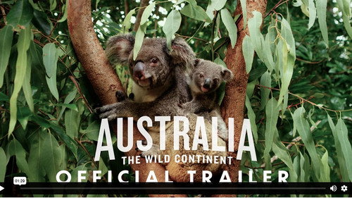 Australia: The Wild Continent