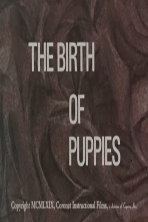 The Birth of Puppies (1969)