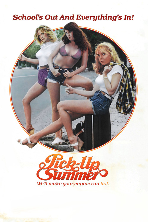 Pinball Summer poster