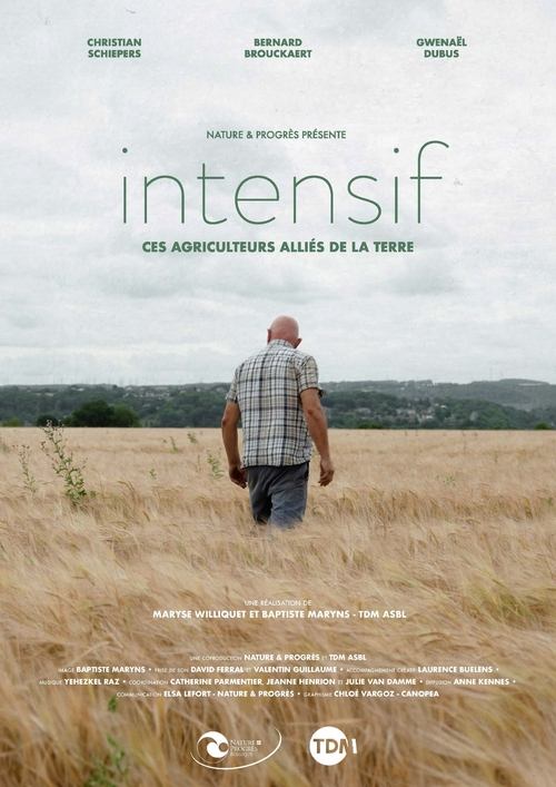 Intensif (2024)