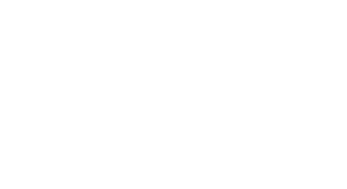 The Tax Collector