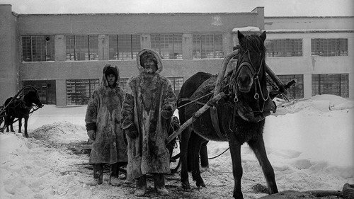 Varlam Shalamov. Youth Experience