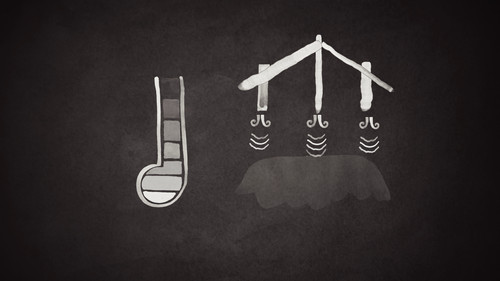 The Bones of Our Past