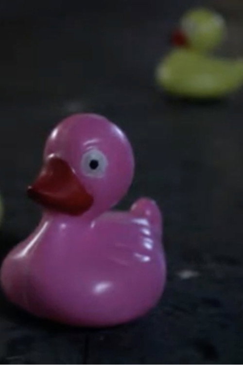 Curmudgeon, The Duckhunter