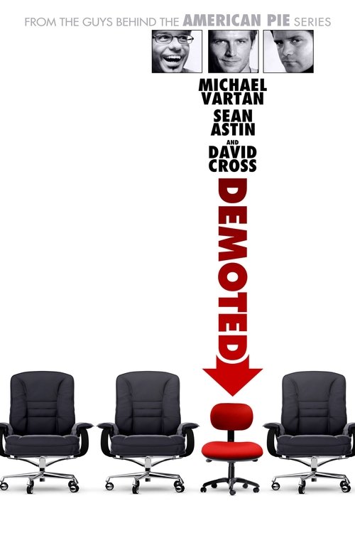 Poster 3