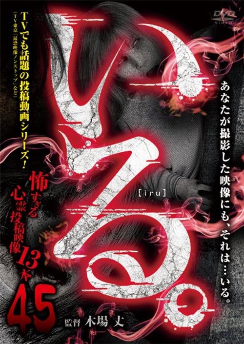 「いる。」~怖すぎる投稿映像13本~ Vol.45