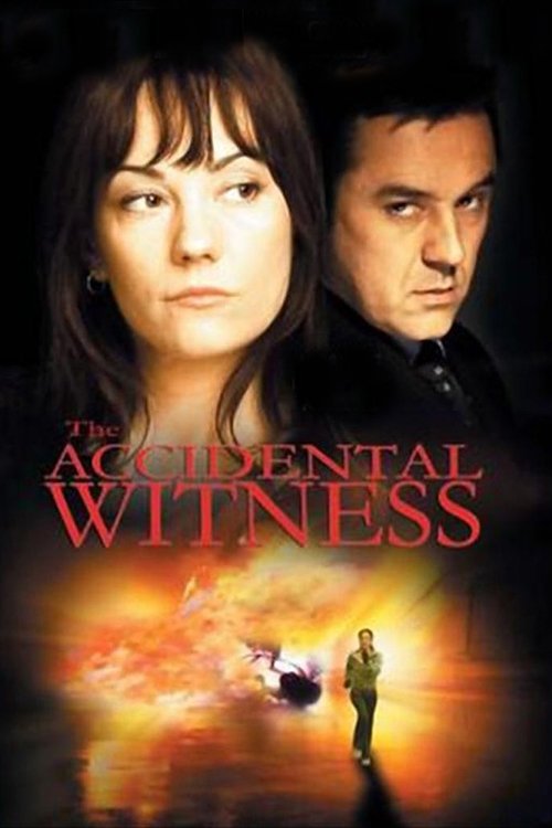 Grootschalige poster van The Accidental Witness