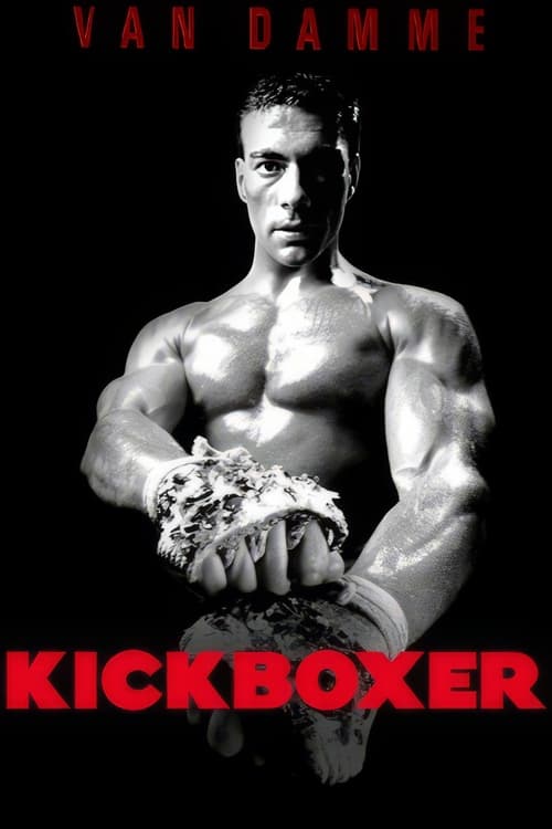 |NL| Kickboxer