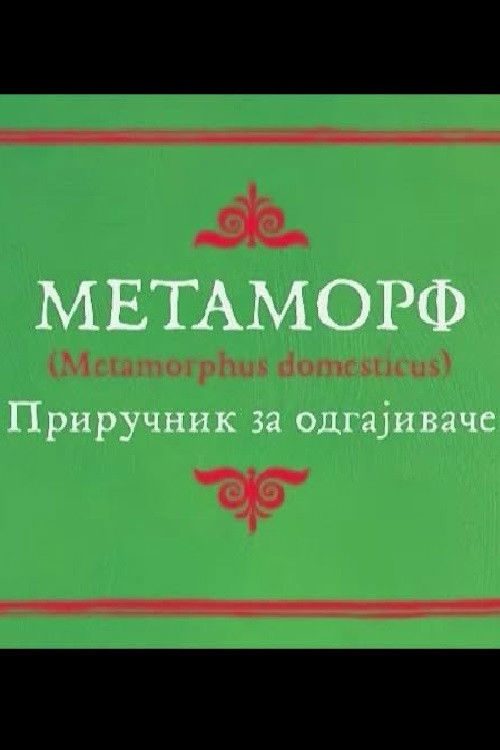 Metamorf - FİLM Afişi