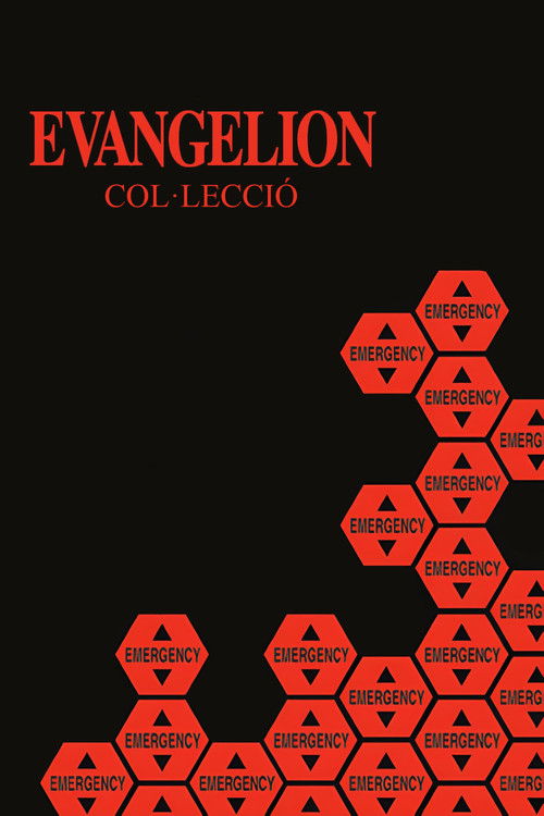 Pòster de Evangelion - Col·lecció