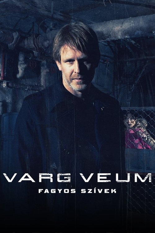 Varg Veum - Fagyos szívek movie poster player