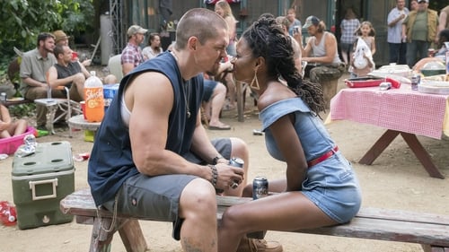 Shameless: 8×4