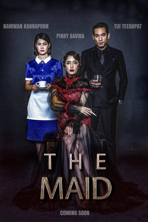 The Maid 2020 The Maid 2020