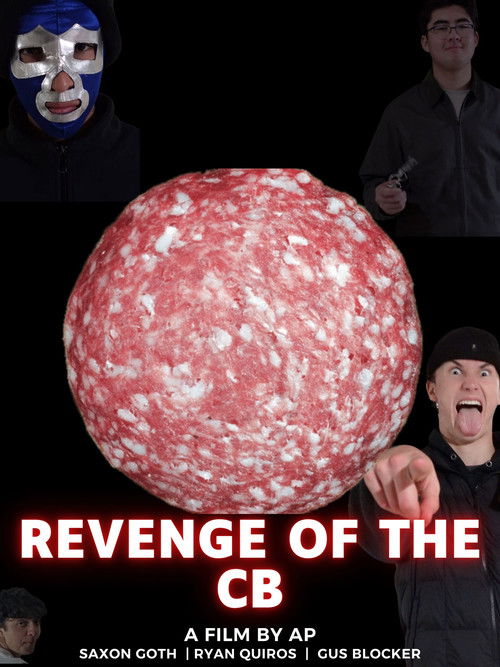 Poster of Revenge of the CB
