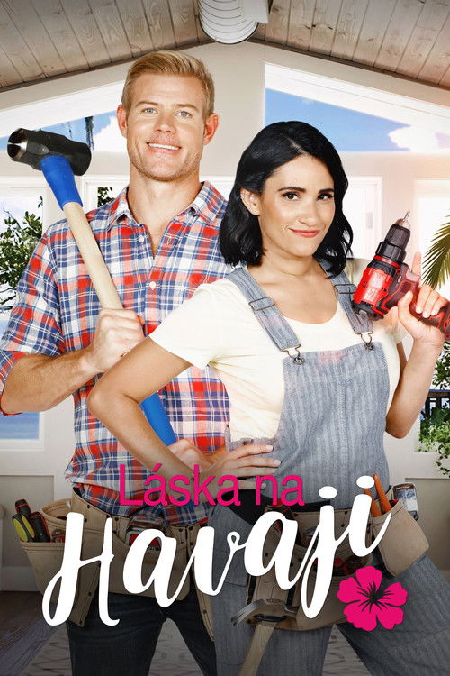 Aloha with Love poster