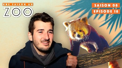 Poster della serie Une saison au zoo