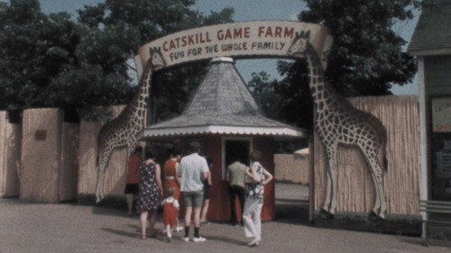 American Zoo Backdrop Blur
