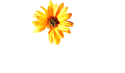 Hope Springs