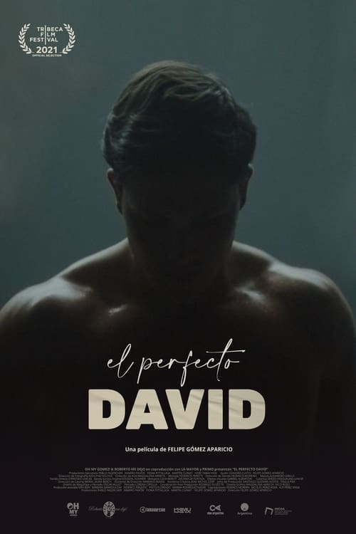 Image El perfecto David