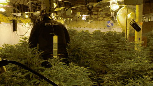 Image de l'épisode 2