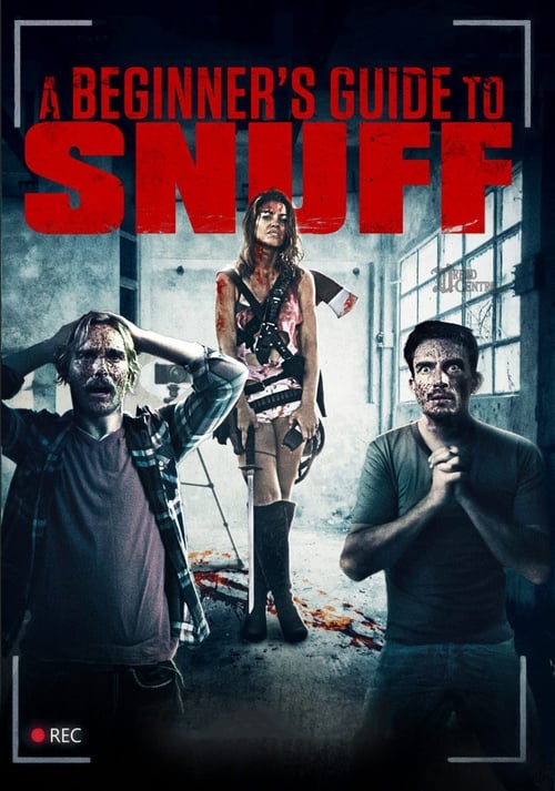 Schauen A Beginner's Guide to Snuff On-line Streaming