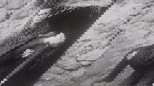 Poster della serie Belle et Sébastien