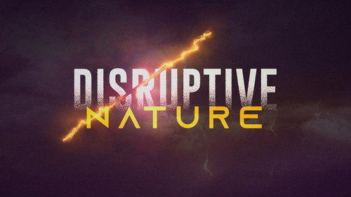 Disruptive Nature - Season 1 Backdrop Blur