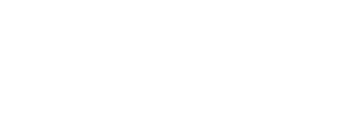 Quebrando Mitos: A Frágil e Catástrofica Masculinidade de Bolsonaro