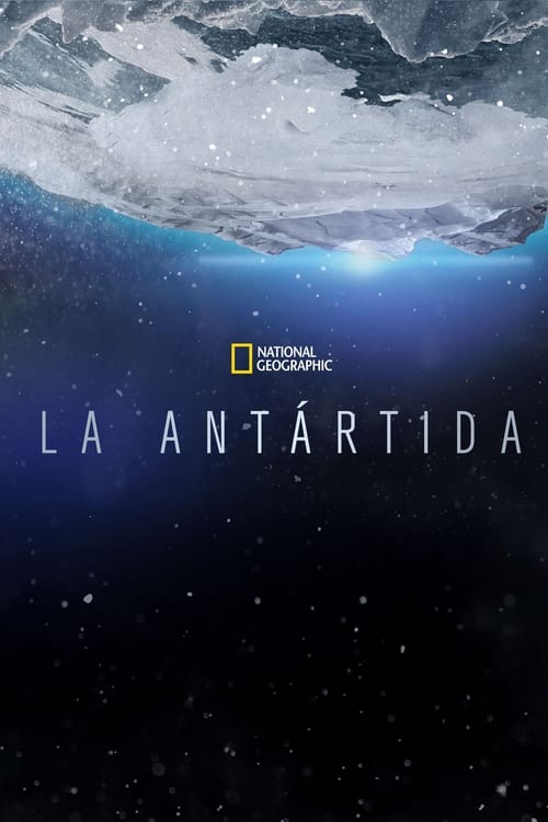 Antártida: El continente blanco