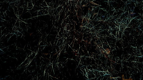 REFLECTION.mp4 — Fondos 16