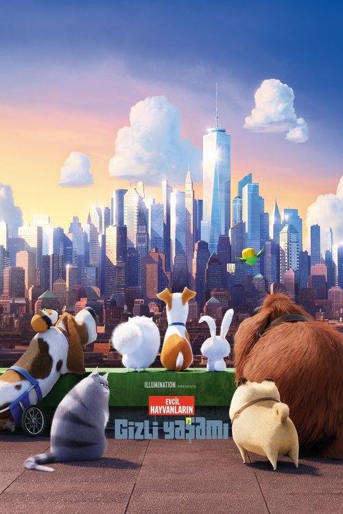 Evcil Hayvanların Gizli Yaşamı ( The Secret Life of Pets )