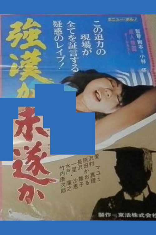 Affiche du film 強姦か未遂か