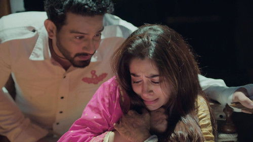 Mahesh Manhandles Sonakshi