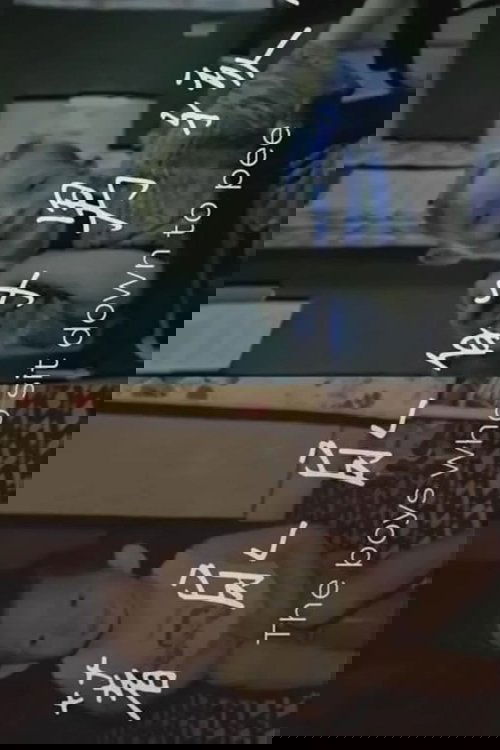 The Boys Who Sit Down to Pee poster