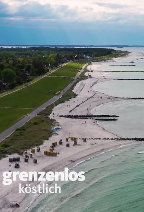 Poster Björn Freitag kocht grenzenlos köstlich