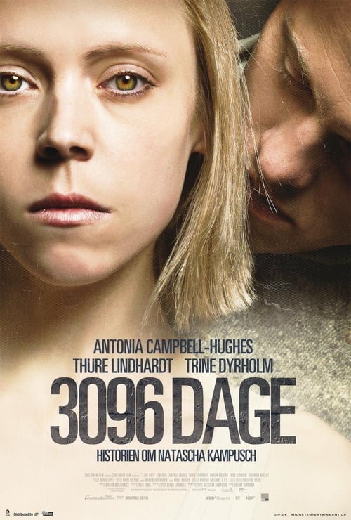 3096 Days poster