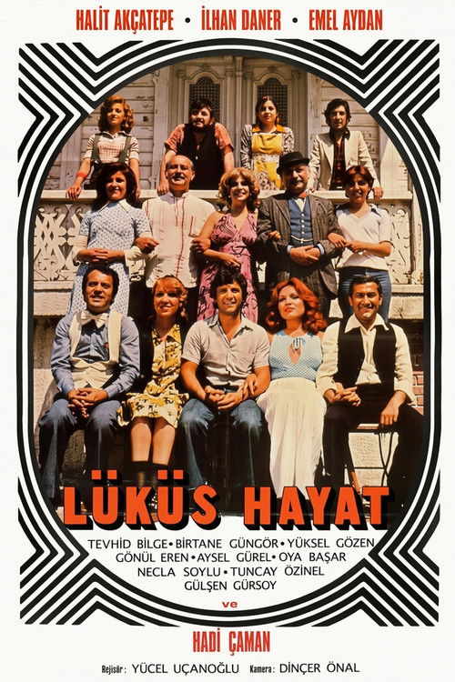 Affiche du film Lüküs Hayat