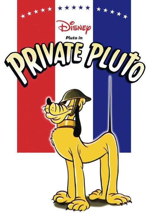 Private Pluto poster