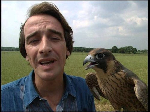 Image de l'épisode 12