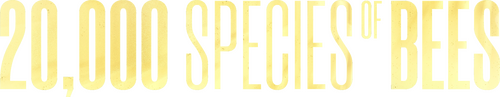 20,000 Species of Bees