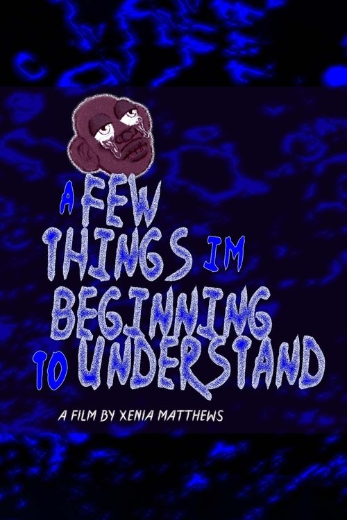 A Few Things I'm Beginning to Understand poster