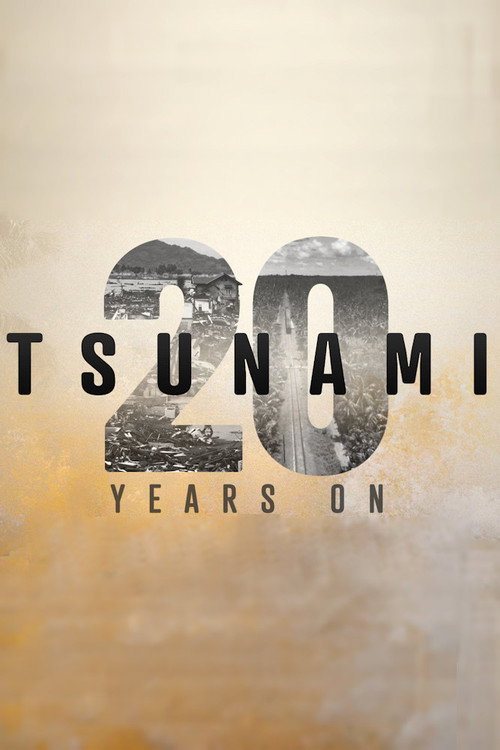 Tsunami: 20 Years On