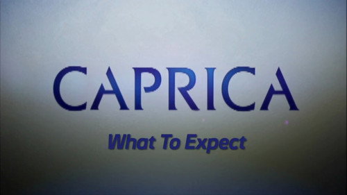 Video Blogs: What To Expect