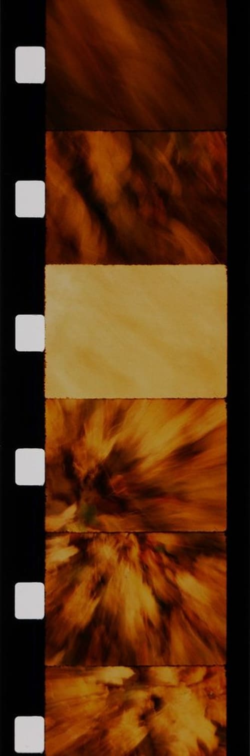 Feuilles movie poster player