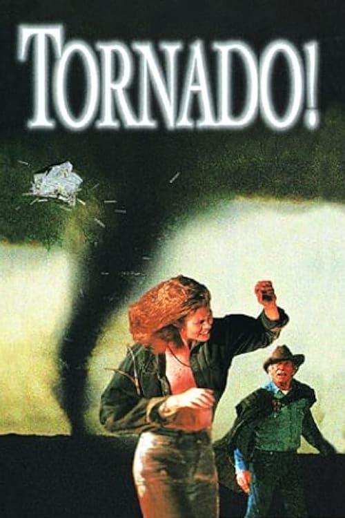 Tornado! (1996) poster