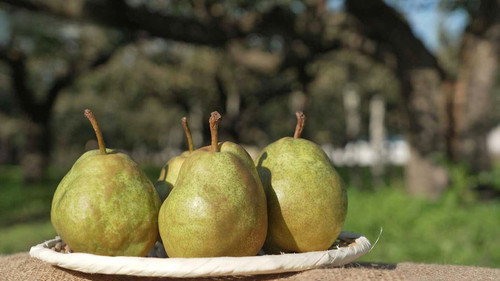 Pear
