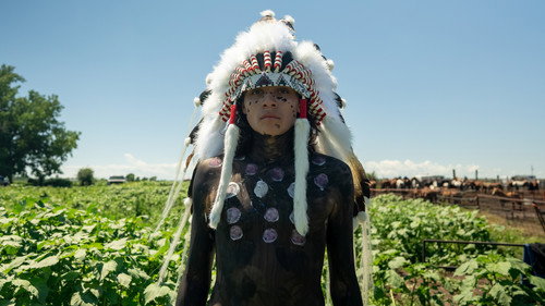 Ireland and the First Nations