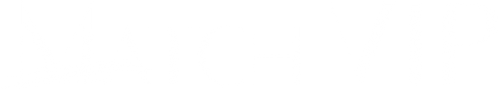 Match VIP - Logo 2