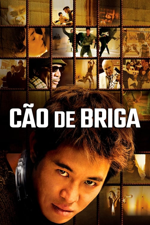 Image Cão de Briga